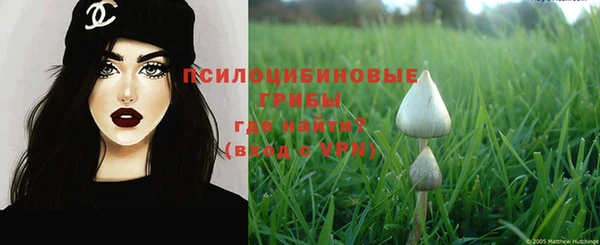 хмурый Белокуриха