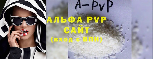 хмурый Белокуриха