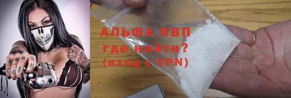хмурый Белокуриха