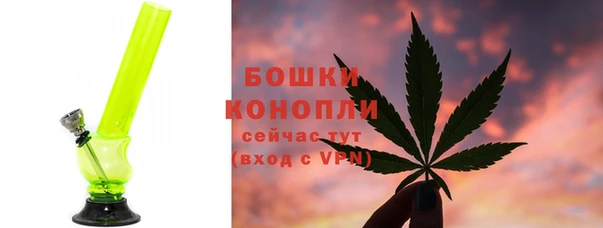 хмурый Белокуриха