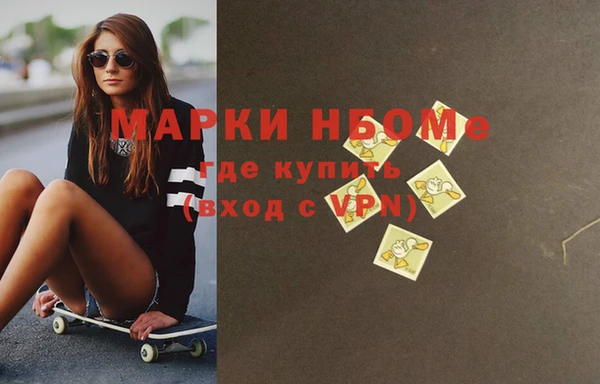 хмурый Белокуриха