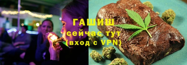 хмурый Белокуриха