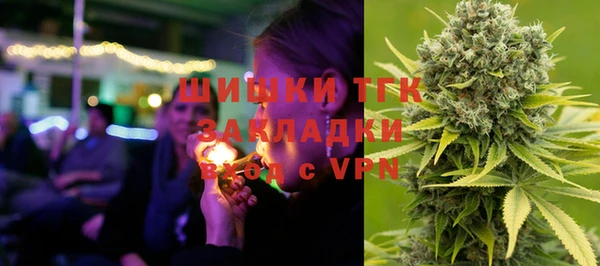 хмурый Белокуриха
