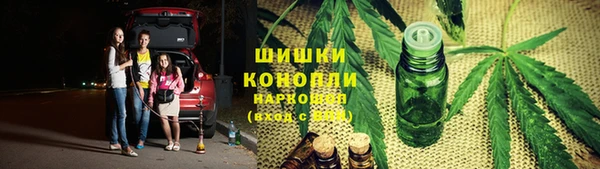 хмурый Белокуриха